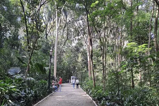 Parque Trianon na Av. Paulista
